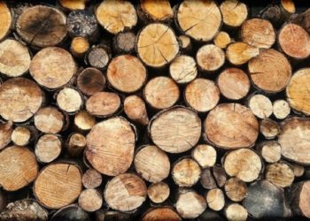 В Україні запрацював державний інтернет-магазин дров