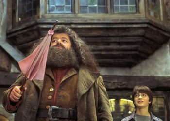 Помер актор, який зіграв Геґріда у “Гаррі Поттері”