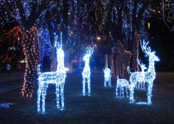 На Київщині заборонили святкову ілюмінацію