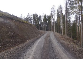 В Україні створять електронний атлас лісових автомобільних доріг