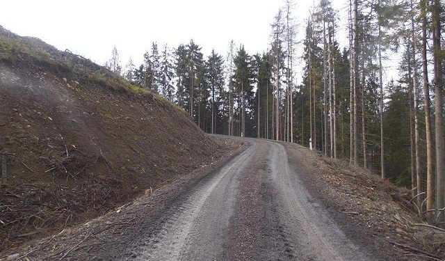 В Україні створять електронний атлас лісових автомобільних доріг