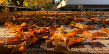 До столиці повернеться вогка осінь