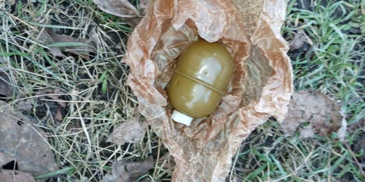 У Дніпрі в смітнику знайшли мішок з гранатами та мінами (фото)