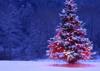 В Україні через війну не буде додаткових вихідних на Новий рік та Різдво