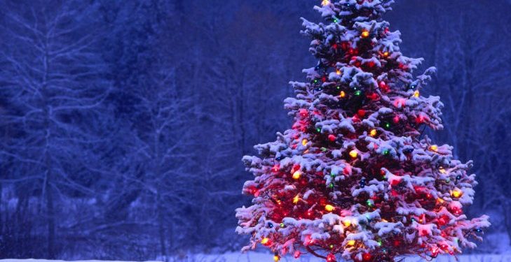 В Україні через війну не буде додаткових вихідних на Новий рік та Різдво