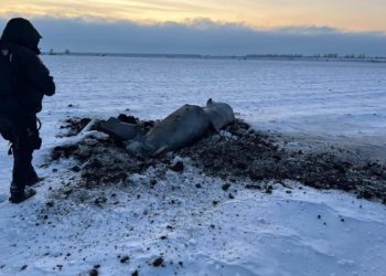 На Київщині виявили уже 7 місць, де впали збиті 5 грудня російські ракети