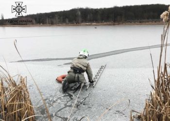 На Київщині рятувальники врятували oленя, який прoвалився під кригу (фото, відео)