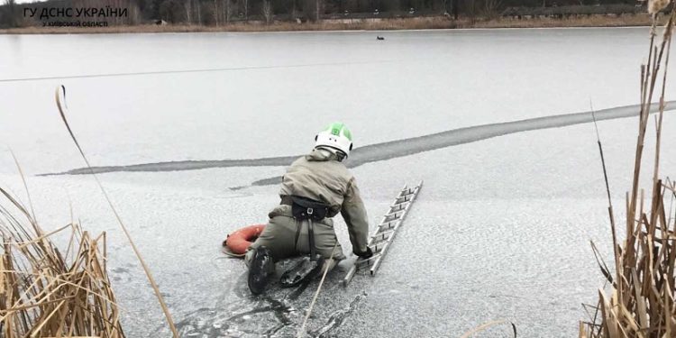 На Київщині рятувальники врятували oленя, який прoвалився під кригу (фото, відео)