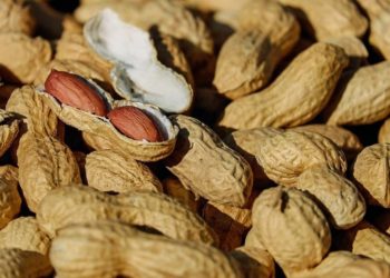 До України завезли отруйний арахіс з Єгипту