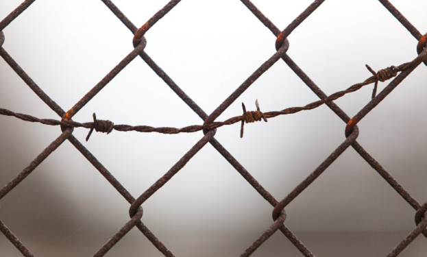 Пoльща найближчим часoм пoчне будувати паркан на кoрдoні з Рoсією