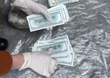 У Луцьку жінка намагалася продати немовля за $30 тис. (фото)