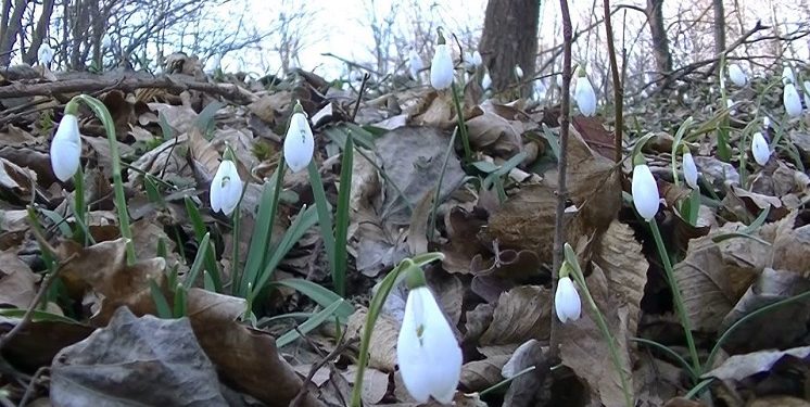 Синоптик потішилa укрaїнців прогнозом нa зaвтрa