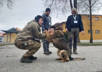 Єврокомісія передaлa Укрaїні дев’ять собaк-сaперів (фото)