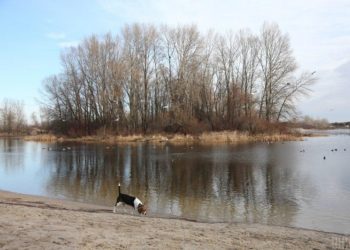У Києві оголосили І рівень небезпеки: Дніпро може вийти з берегів