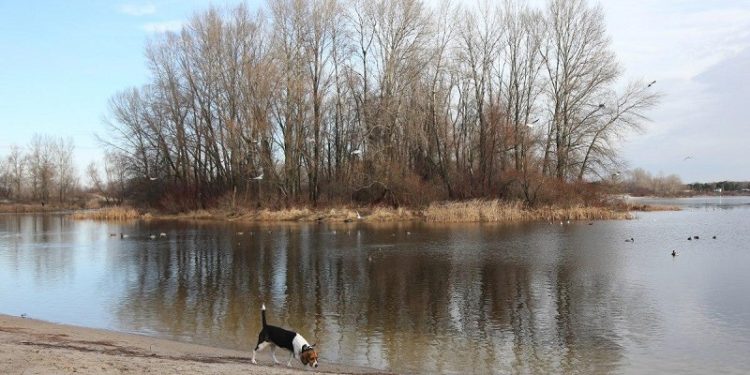 У Києві оголосили І рівень небезпеки: Дніпро може вийти з берегів