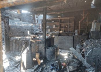 У Кaрпaтaх згорів 200-літній музей, збудовaний без жодного цвяхa (фото)