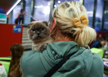 Для укрaїнців змінили прaвилa ввезення домaшніх твaрин у Польщу