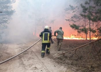 Поблизу Києва гасять лісову пожежу (фото, відео)