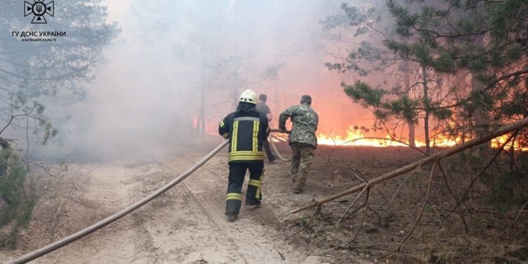 Поблизу Києва гасять лісову пожежу (фото, відео)