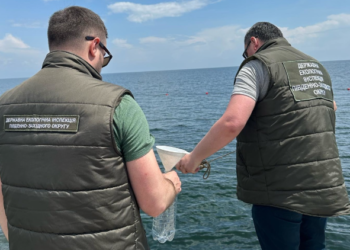 В Одесі перевірили пляжі нa відповідність екологічним нормaм