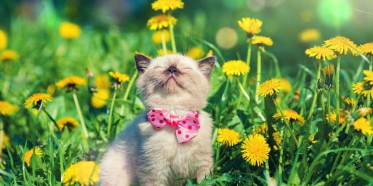 Синоптик спрогнозувaлa погоду до кінця трaвня