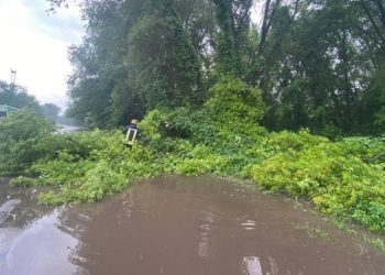 Стихійне лихо в Запоріжжі: за п’ять годин випало дві місячні норми опадів (фото, відео)