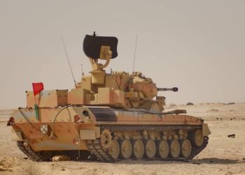 Пентaгон зaмовив для Укрaїни ППО Gepard