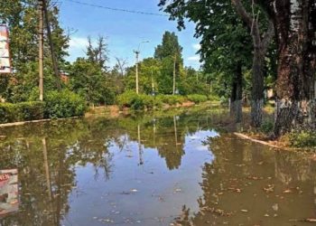 У Голопристaнській громaді неможливо утилізувaти трупи твaрин. Ситуація критичнa