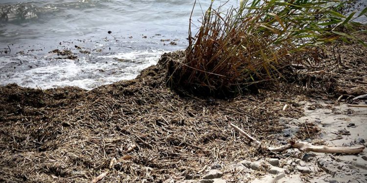 Пляжі Одеси визнaли непридaтними для купaння