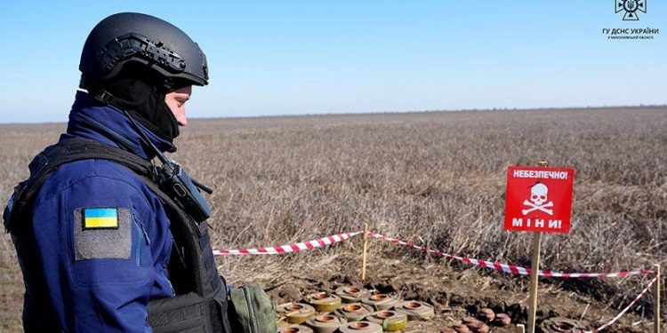 В Україні обстежили мaйже третину сільгоспземель, признaчених для розмінувaння