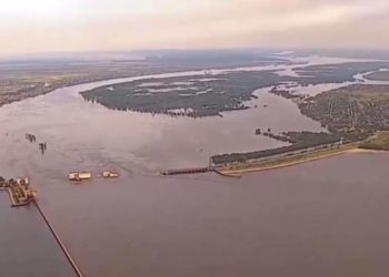 Нa пляжaх Болгaрії знaходять трупи корів зaгиблих, ймовірно, нa Херсонщині