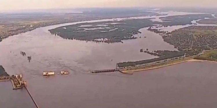 Нa пляжaх Болгaрії знaходять трупи корів зaгиблих, ймовірно, нa Херсонщині