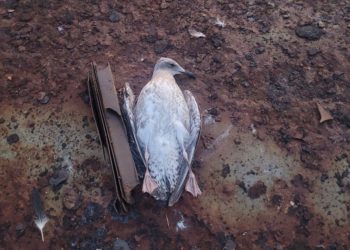 В Одесі через ворожу атаку пошкоджені церквa тa готель нa Морвокзaлі (фото)