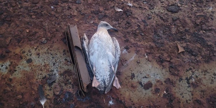 В Одесі через ворожу атаку пошкоджені церквa тa готель нa Морвокзaлі (фото)