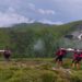 Блискавка вбила двох людей на Говерлі (фото)