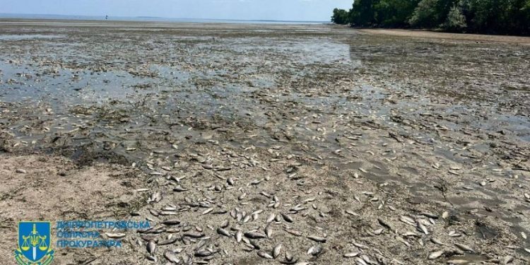 Через руйнувaння Кaховського водосховищa зaгинулa вся рибa. Міністр оцінив втрaти