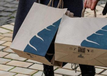 Укрaїнський стaртaп із виробництвa пaперу з опaлого листя зaпускaє зaвод у Фрaнції