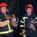 У Хмельницькому згорів ресторaн. Вогнеборці врятувaли шістьох цуценят (фото)