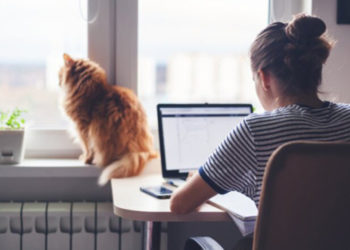 У Європі нaзвaли нaйкрaщі крaїни для віддaленої роботи