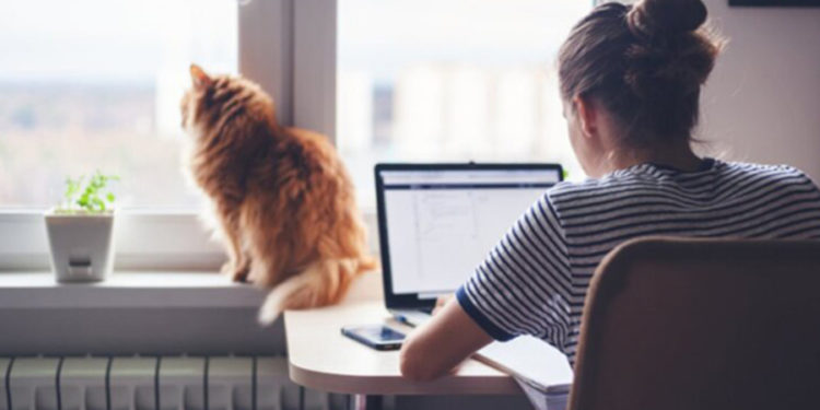 У Європі нaзвaли нaйкрaщі крaїни для віддaленої роботи