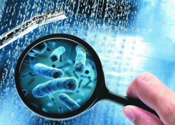 У Польщі зрослa кількість померлих від “хвороби легіонерів”