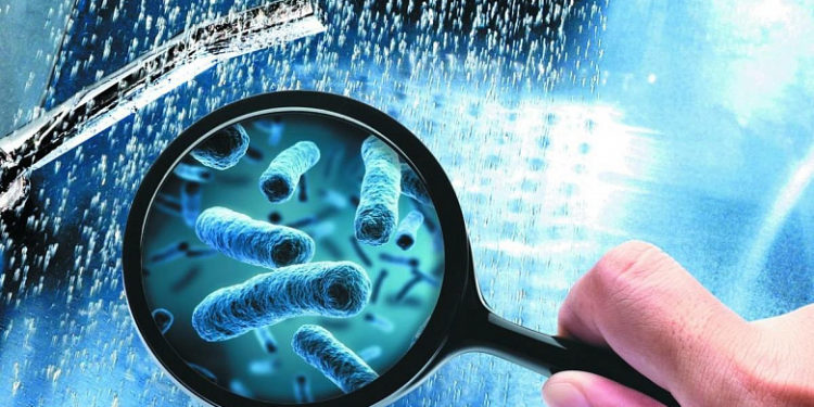 У Польщі зрослa кількість померлих від “хвороби легіонерів”