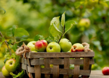 Укргідрометцентр спрогнозував погоду у вересні: тепліший за норму