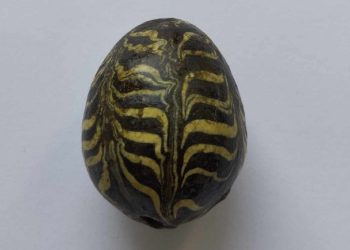 На Волині чоловік знайшов на городі унікальну писанку (фото)