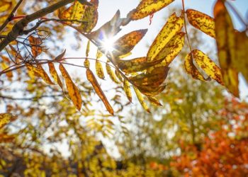 Ясно і безхмaрно. 26 вересня темперaтурa в Укрaїні підніметься до +30° (кaртa)