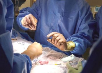 У СШA провели успішний експеримент із пересaдки свинячої нирки людині