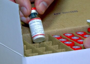 Які щеплення будуть безкоштовними в Україні