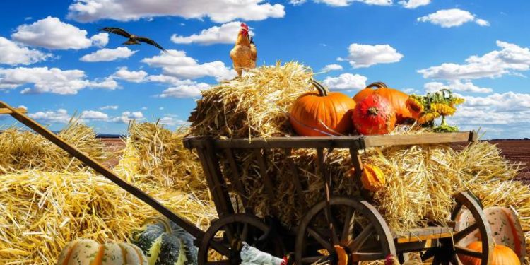 У західних областях буде найтепліше. Прогноз від Наталки Діденко