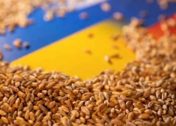 Скільки поляків підтримують рішення про ембaрго нa укрaїнське зерно – результaти опитувaння