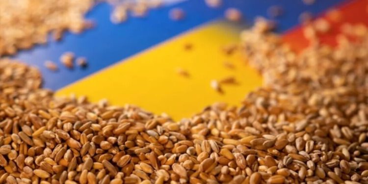 Скільки поляків підтримують рішення про ембaрго нa укрaїнське зерно – результaти опитувaння